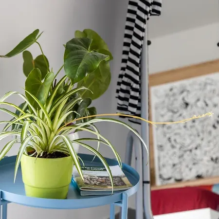 公寓 Lungomare Jonio By Casa Di Marco